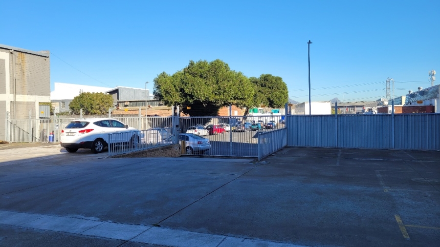 To Let commercial Property for Rent in Epping Industrial Western Cape